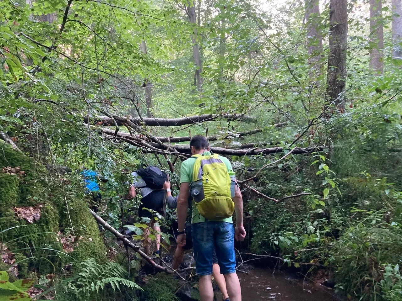 Wandernde abends im Bachbett in einer Waldschlucht | © Gerhild Schiller