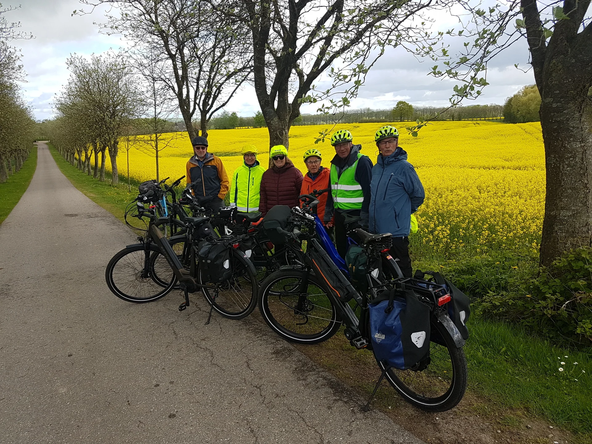 Eine Gruppe Radfahrer vor einem Rapsfeld | © Kai Vermehren