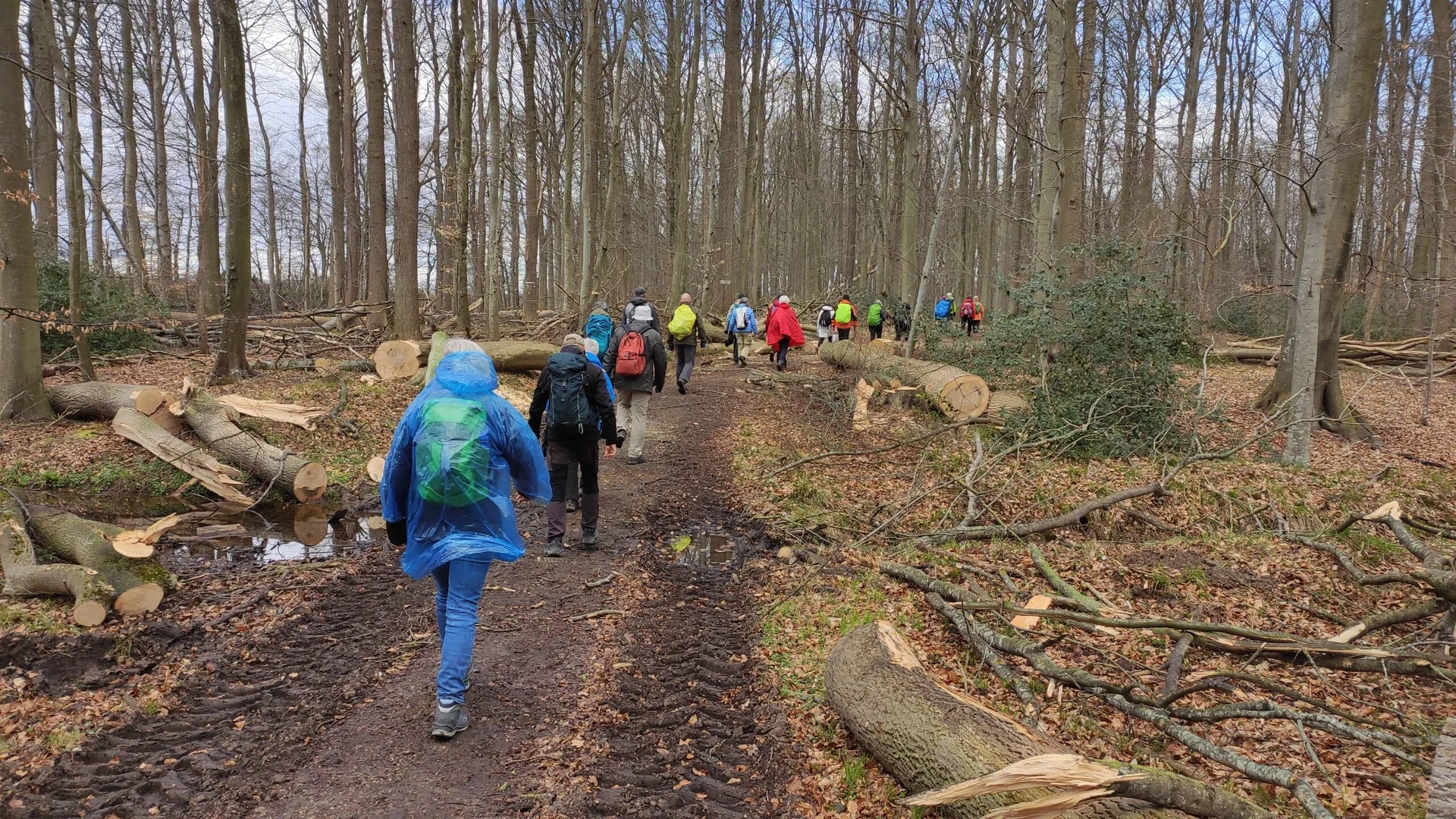 Wanderer im Wald | © DAV Flensburg