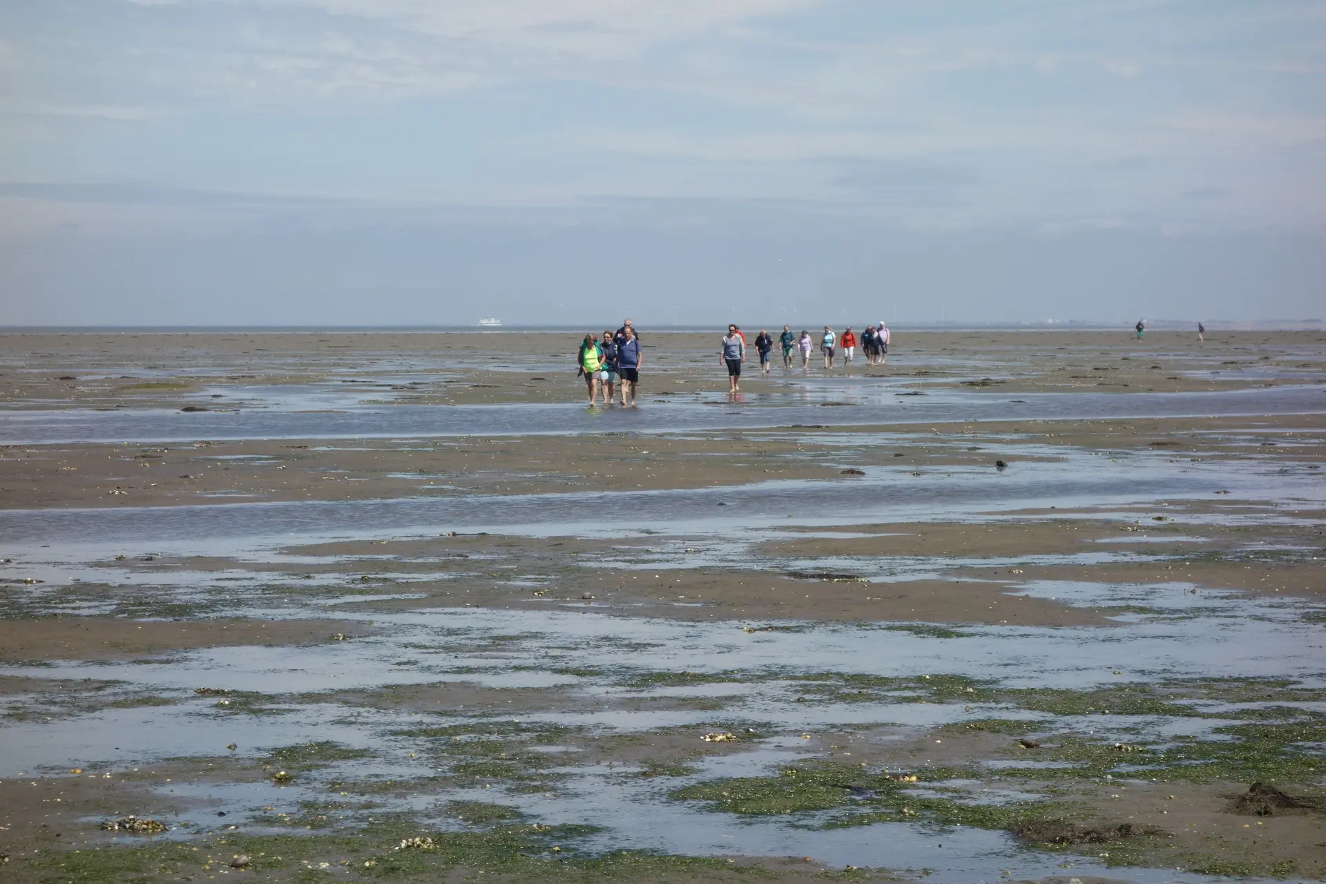 Eine Gruppe Wandernde im Wattenmeer | © Kai Vermehren