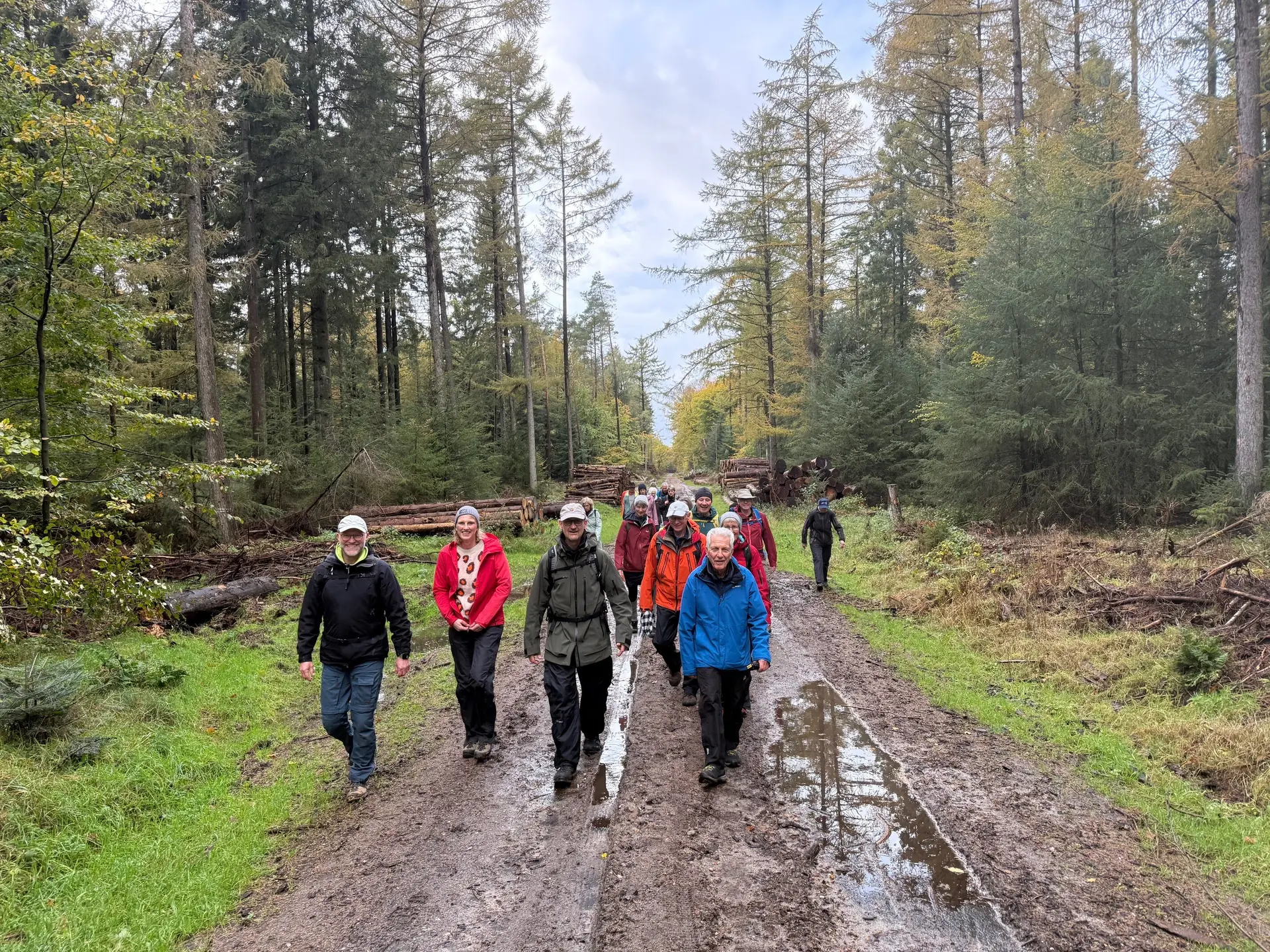 Wandernde auf einem Forstweg | © Gerhild Schiller