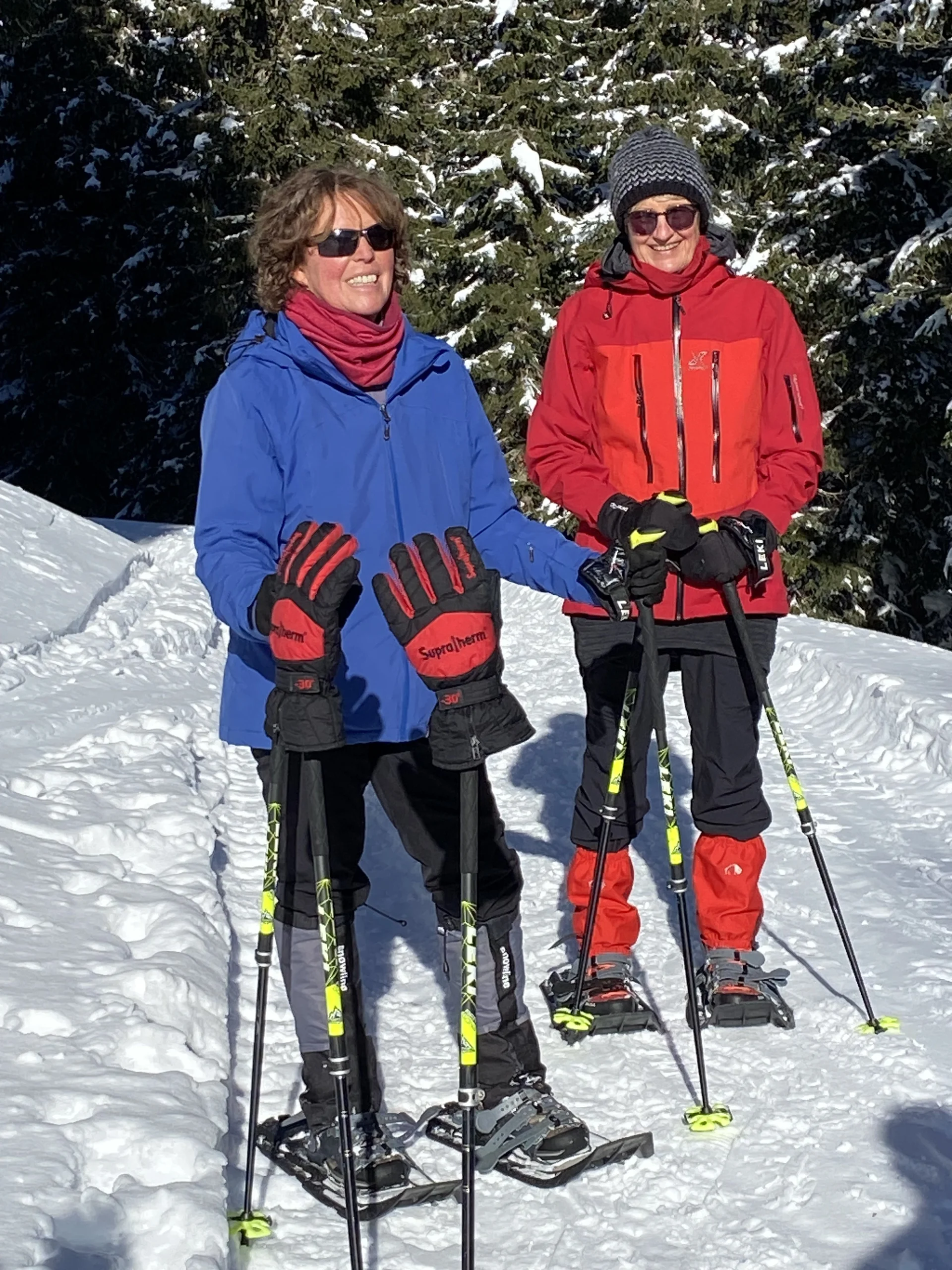 zwei Schneeschuhwanderer in einer winterlichen Landschaft vor dem Wald | © DAV Flensburg