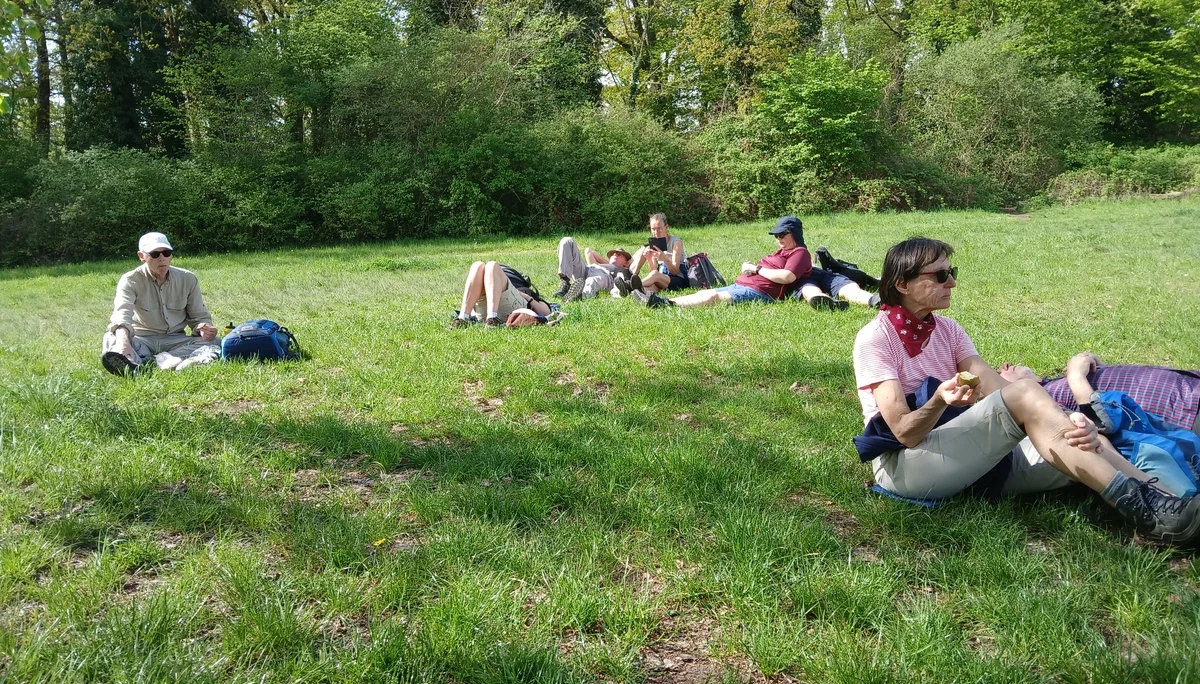 Fünf müde Wanderer bei einer Pause auf einer Rasenfläche im Park | © Gerhild Schiller