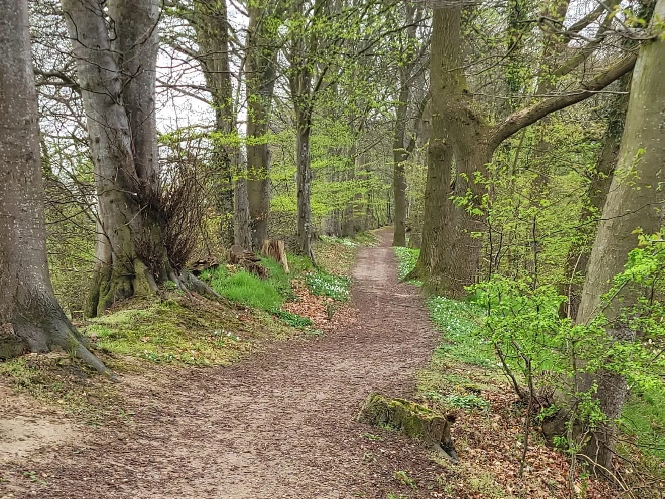 © Walburga Göttsche