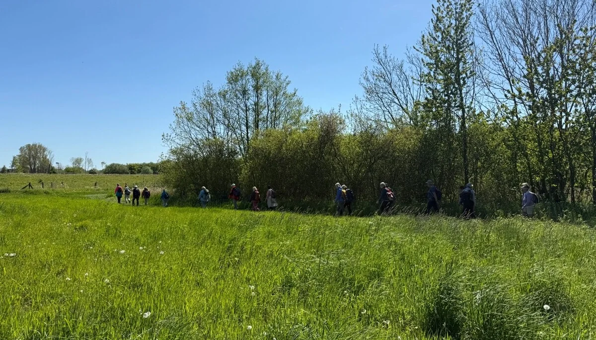 Eine Gruppe Wanderer vor einer Baumreihe | © Gerhild Schiller