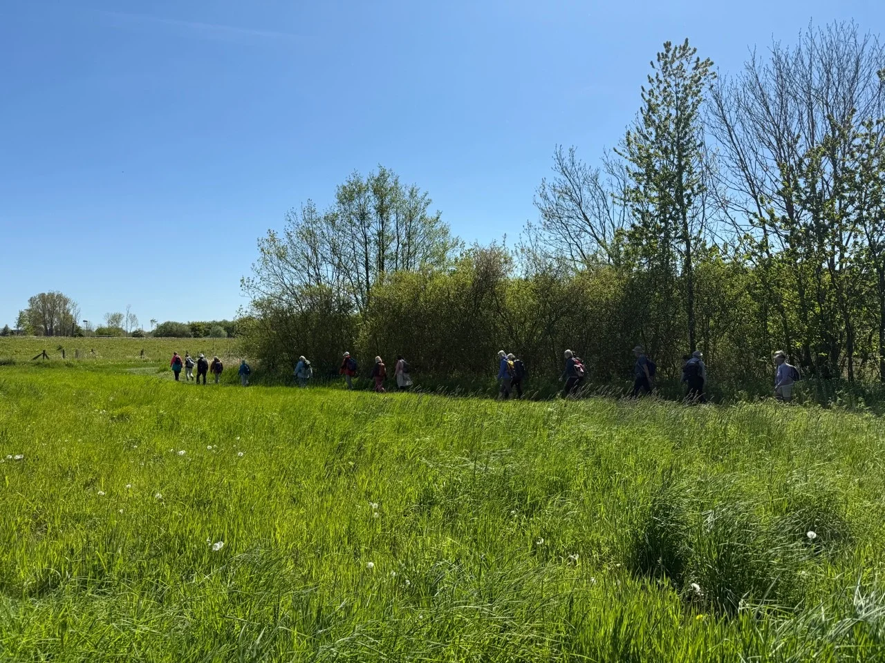 Eine Gruppe Wanderer vor einer Baumreihe | © Gerhild Schiller