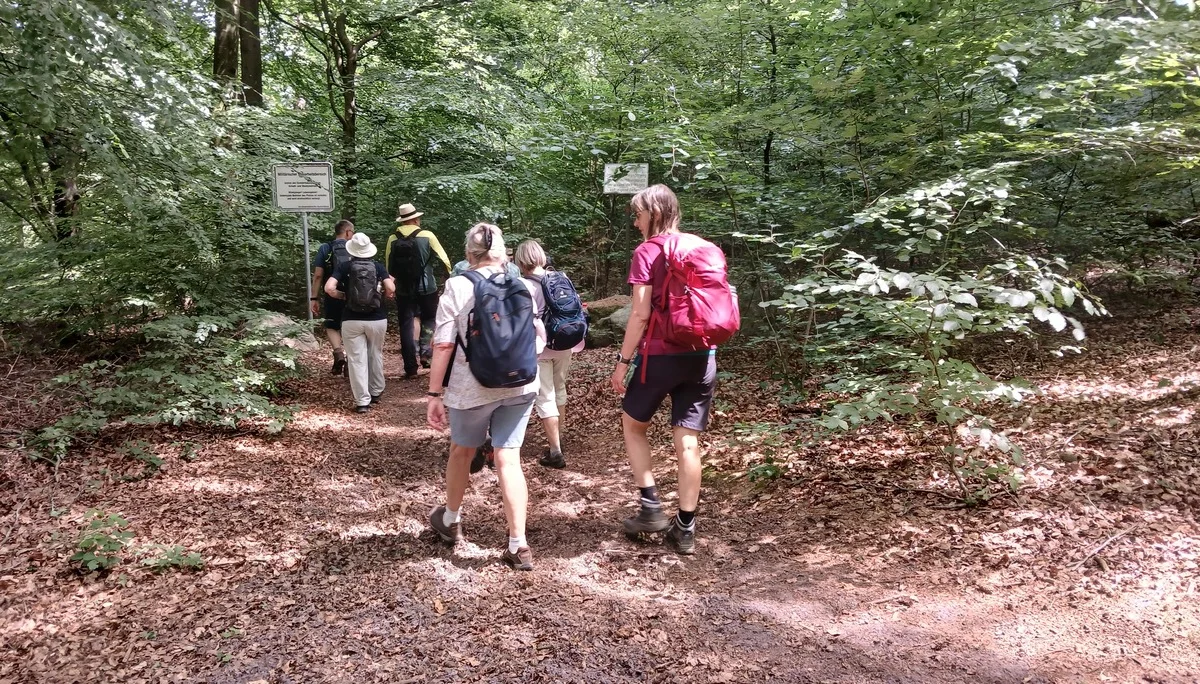 sechs Wanderer im Wald | © Kai Vermehren