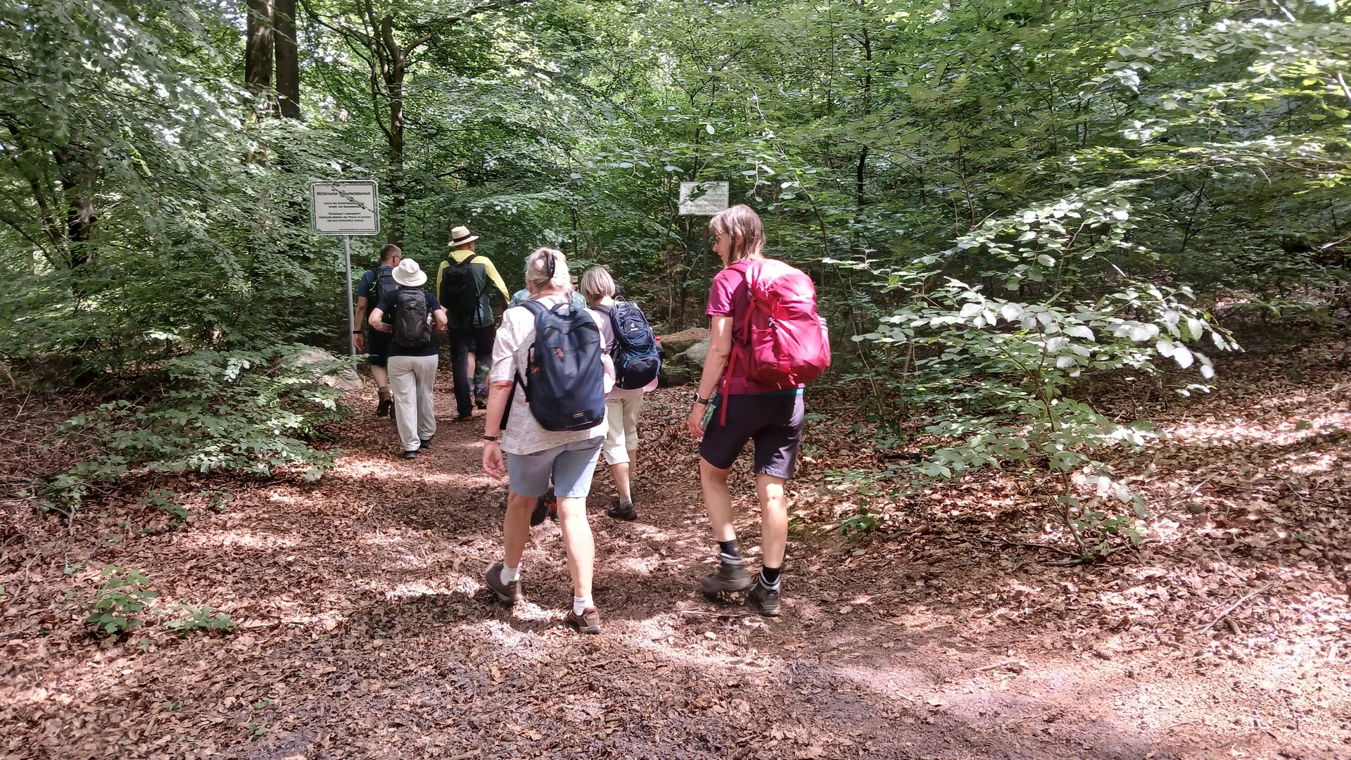 sechs Wanderer im Wald | © Kai Vermehren