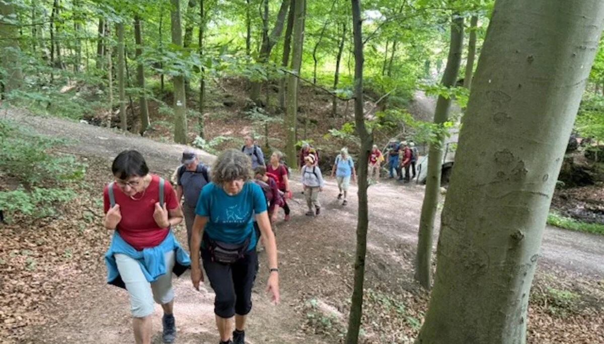 eine Gruppe Wanderer im wald | © Gerhild Schiller