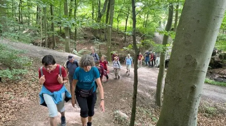 eine Gruppe Wanderer im wald | © Gerhild Schiller