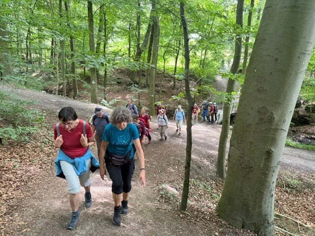 eine Gruppe Wanderer im wald | © Gerhild Schiller