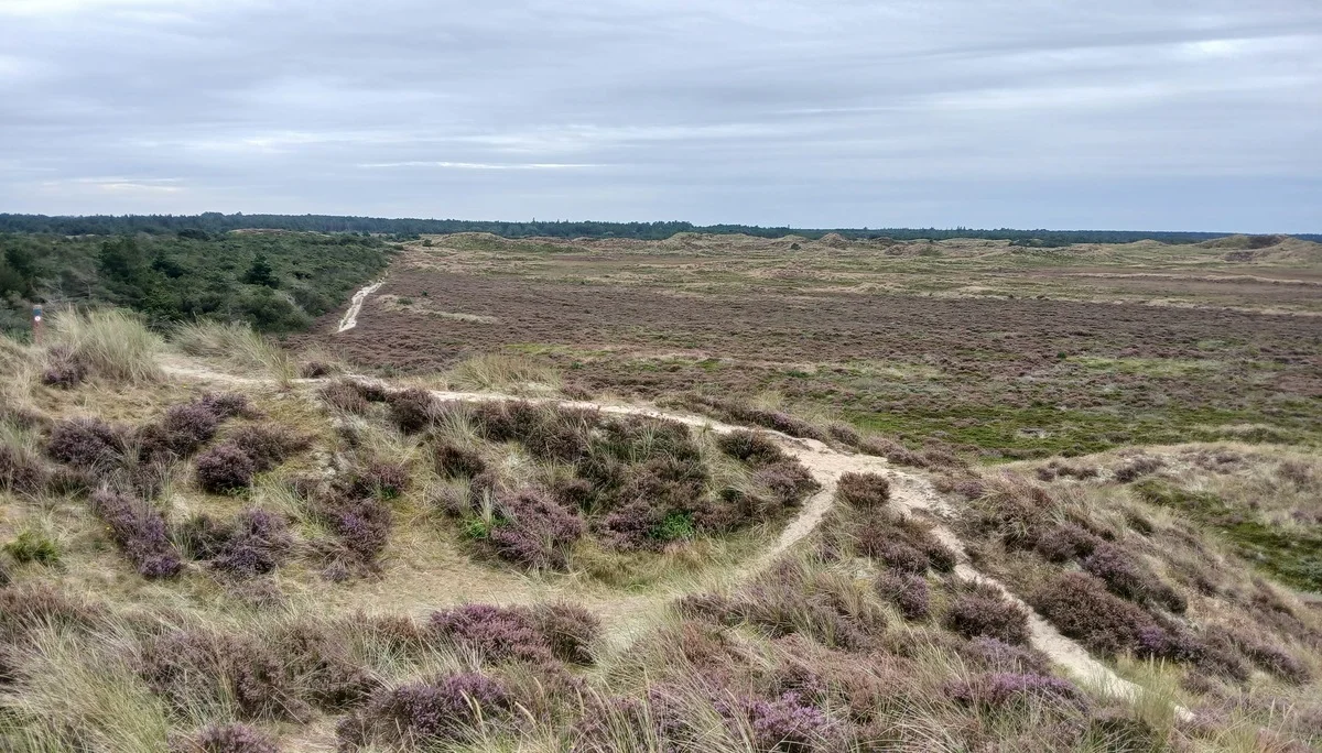 Wanderer in den Dünen von Römö | © Kai Vermehren