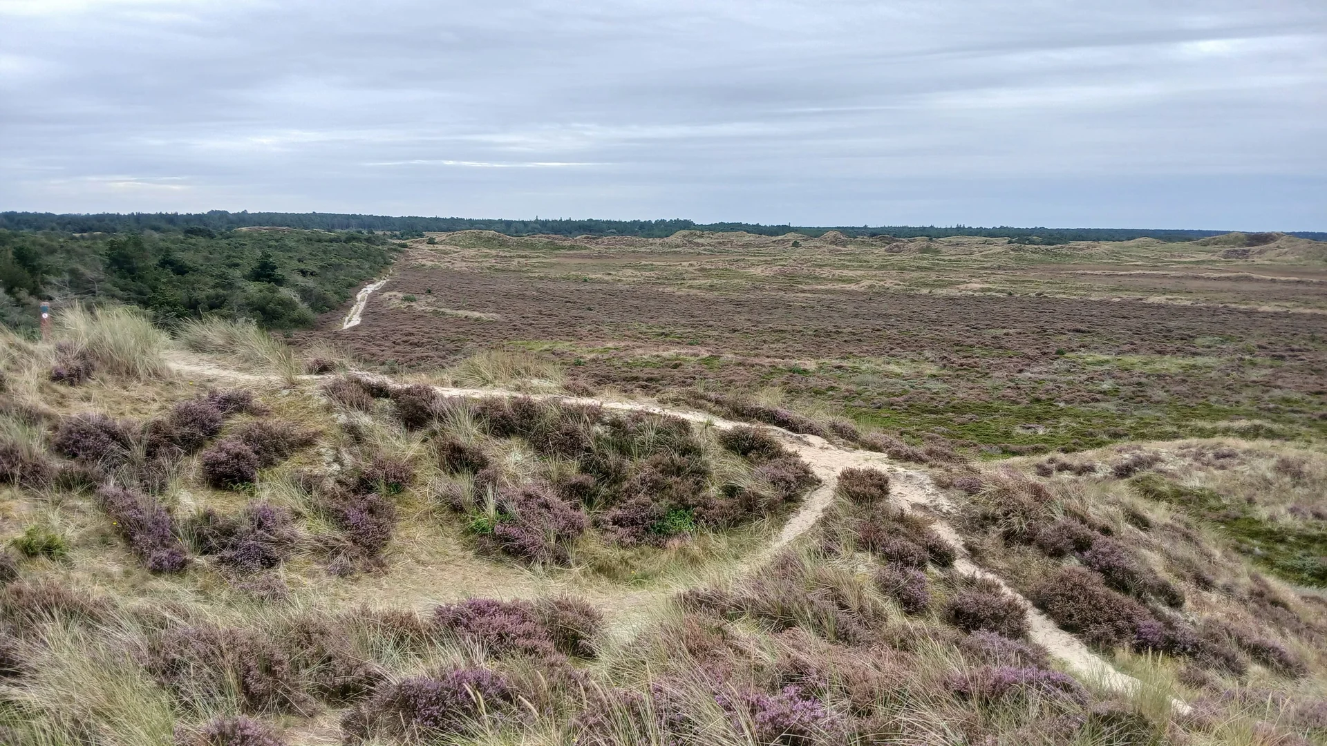 Wanderer in den Dünen von Römö | © Kai Vermehren