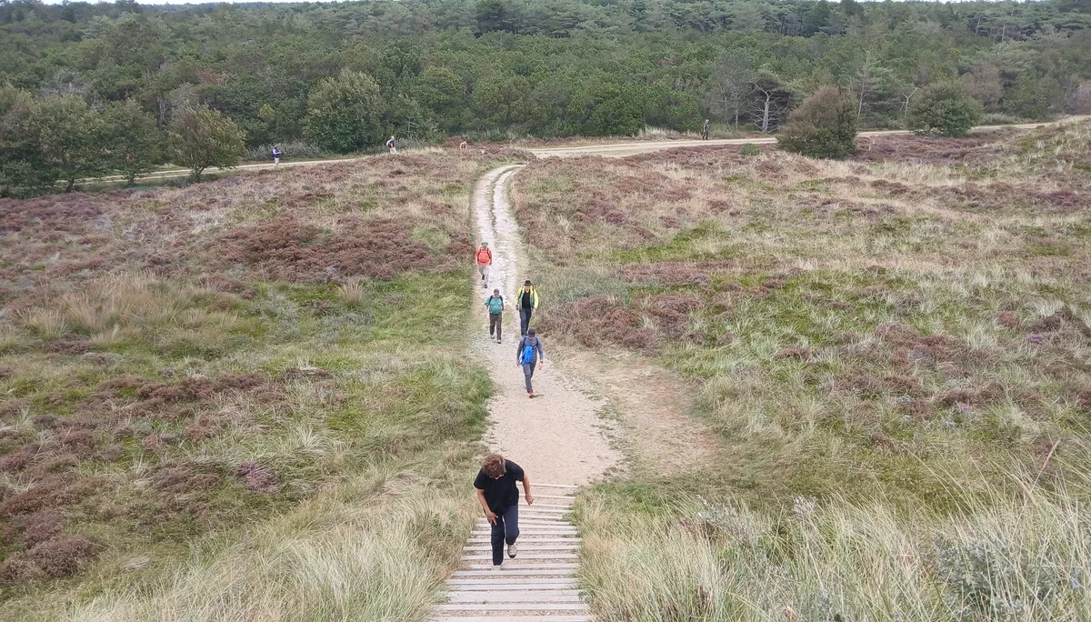 Dünenlandschaft von Römö | © Kai Vermehren