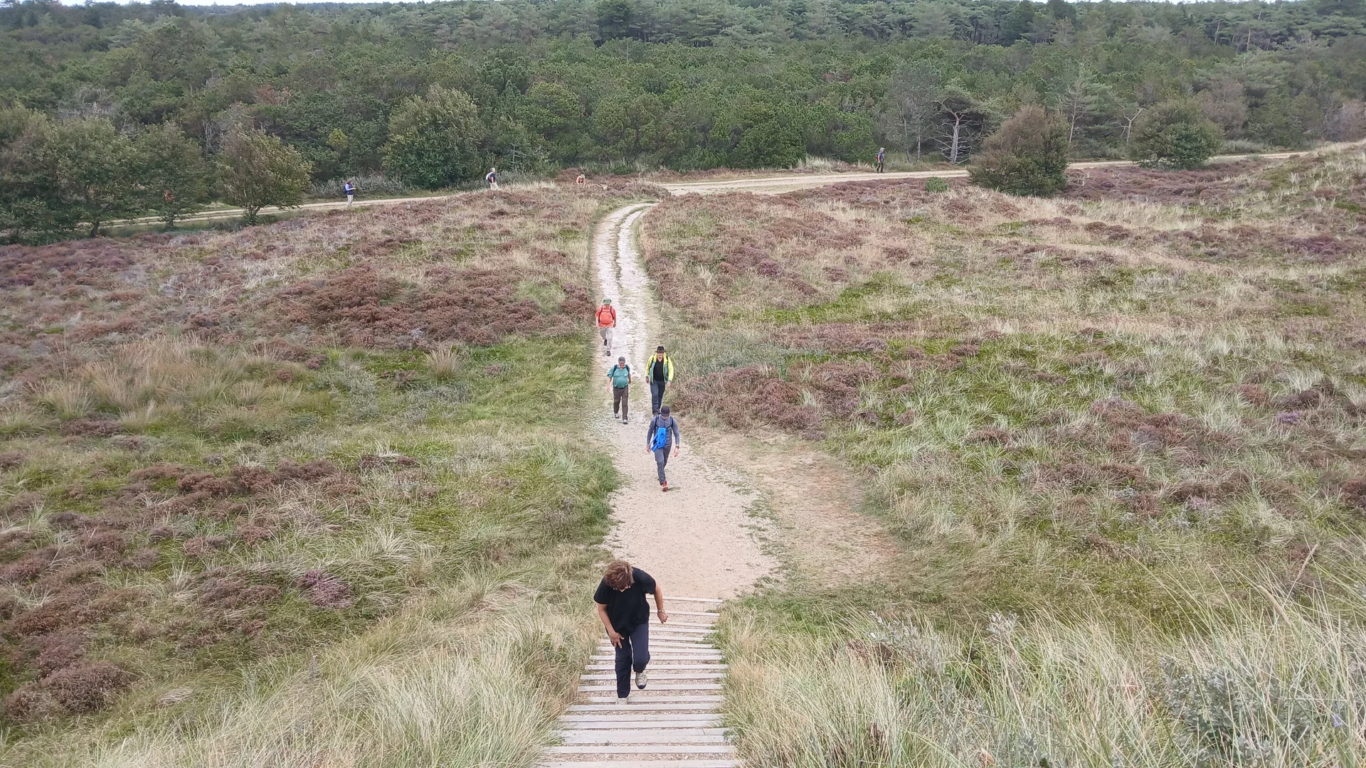 Dünenlandschaft von Römö | © Kai Vermehren