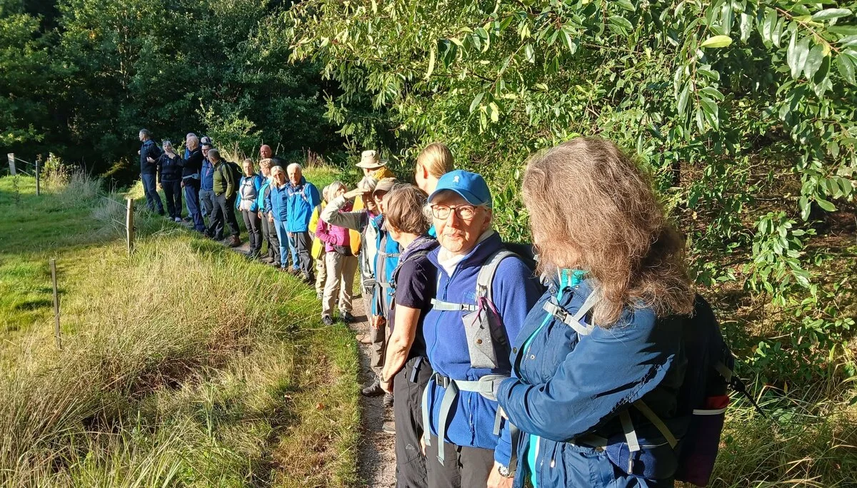 Wanderer auf einer Lichtung im Wald | © Kai Vermehren