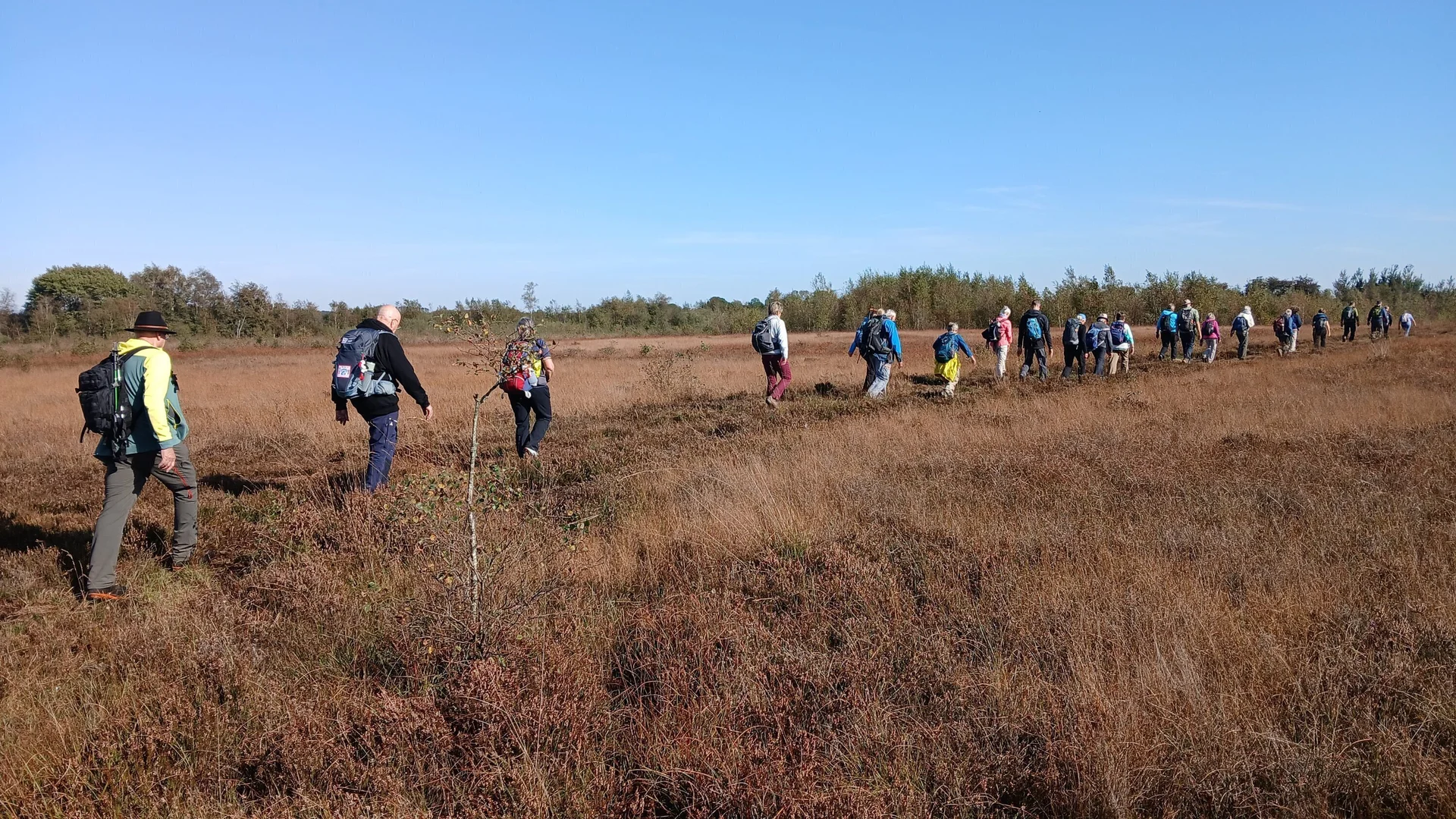 Wanderer auf einer Lichtung im Wald | © Kai Vermehren