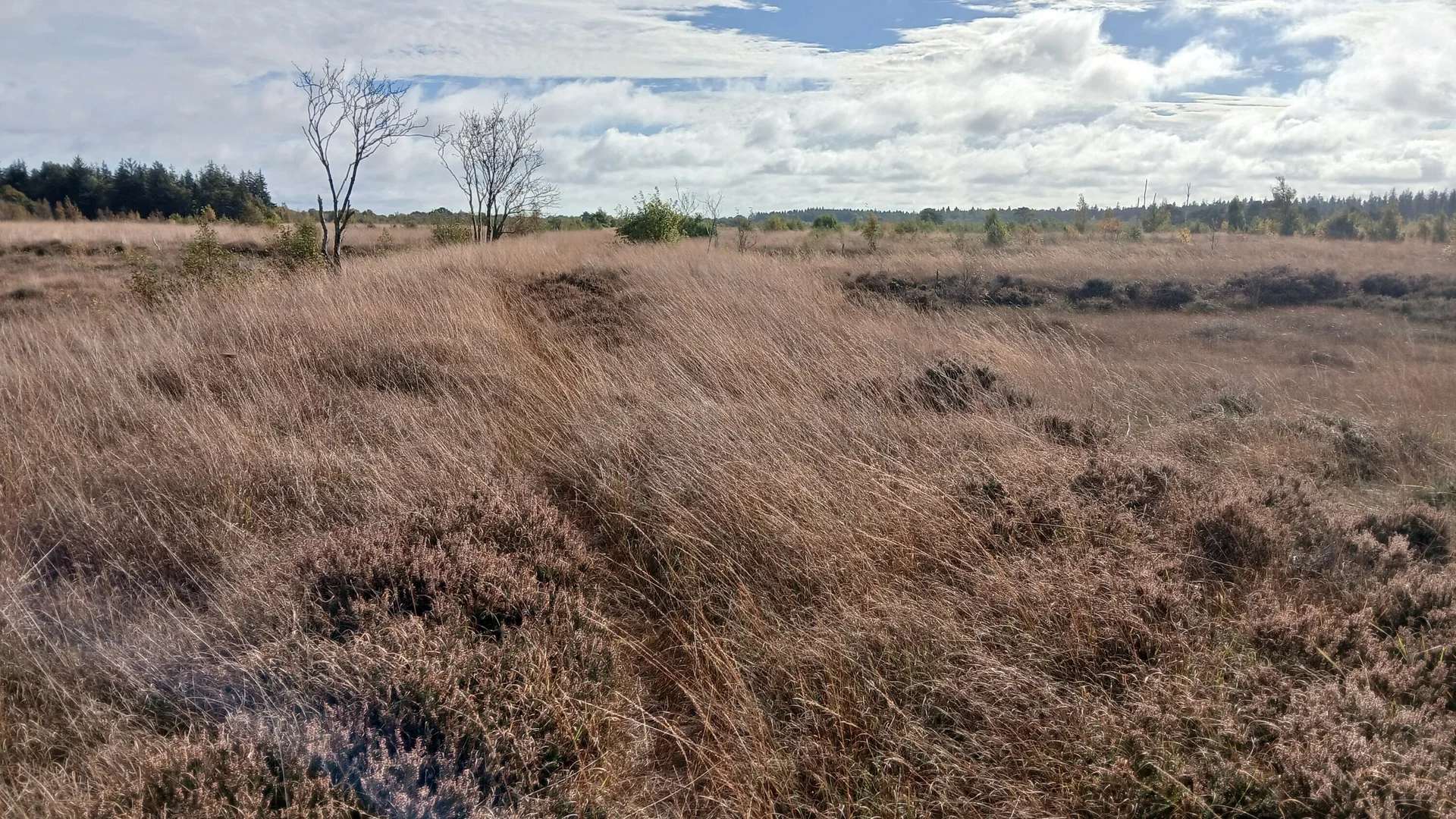 Wanderer bei einer Pause | © Claudia Behnke