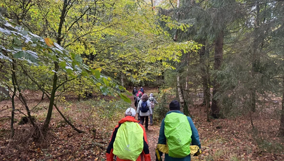 Wanderer im Wald | © Gerhild Schiller