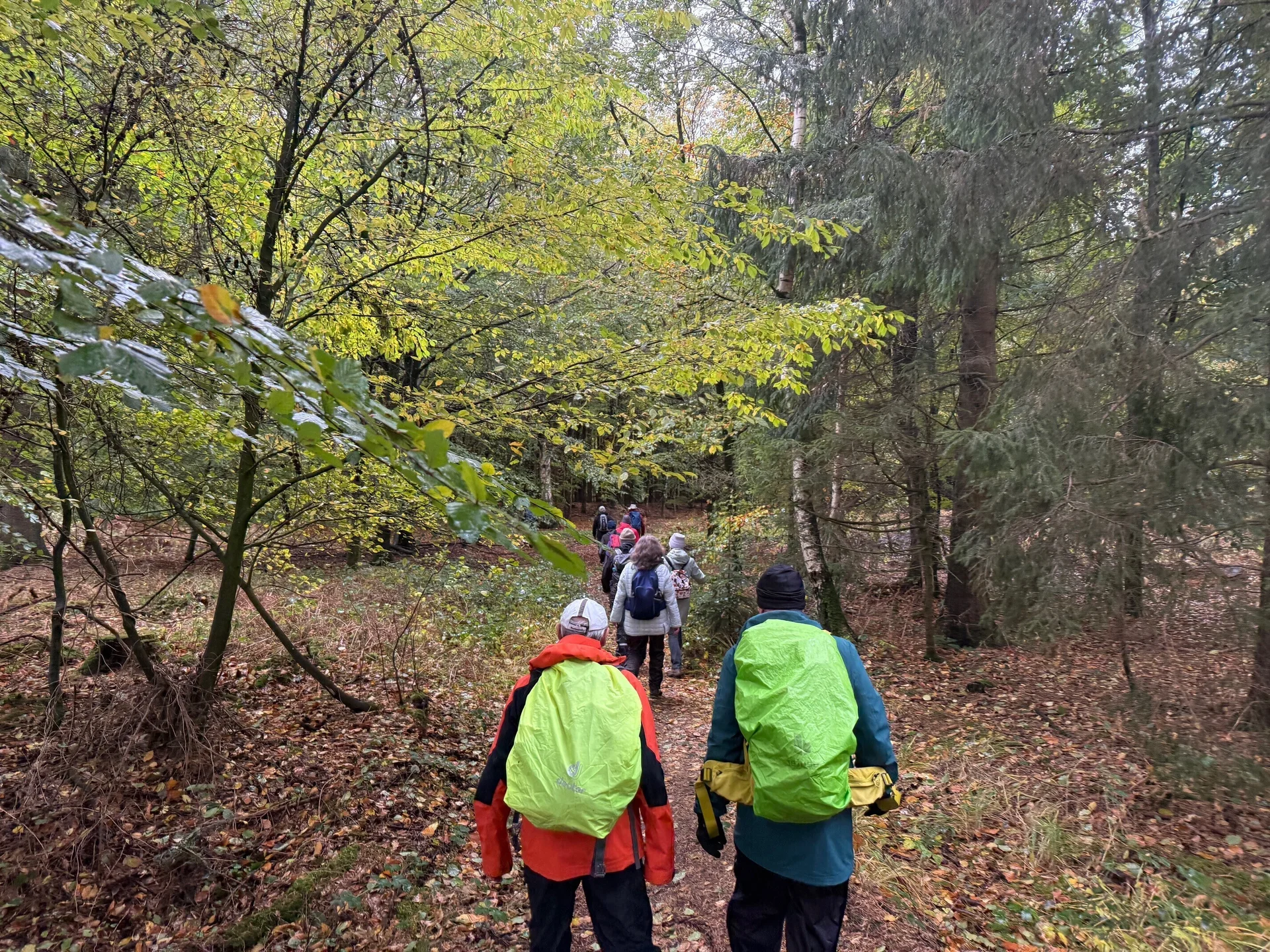 Wanderer im Wald | © Gerhild Schiller
