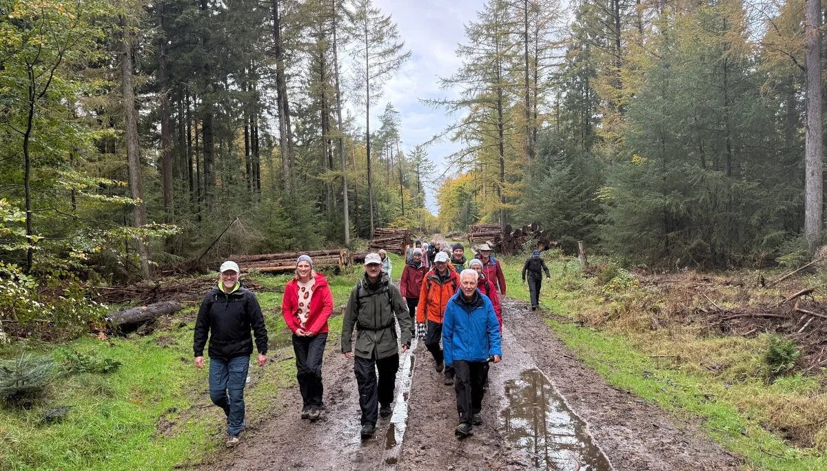 Wanderer auf einem Forstweg | © Gerhld Schiller
