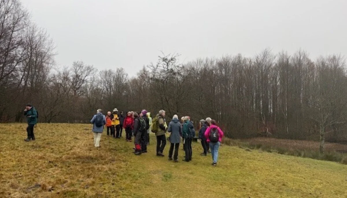 eine Gruppe Wanderer im Wald | © Gerhild Schiller