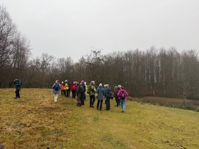 eine Gruppe Wanderer im Wald | © Gerhild Schiller