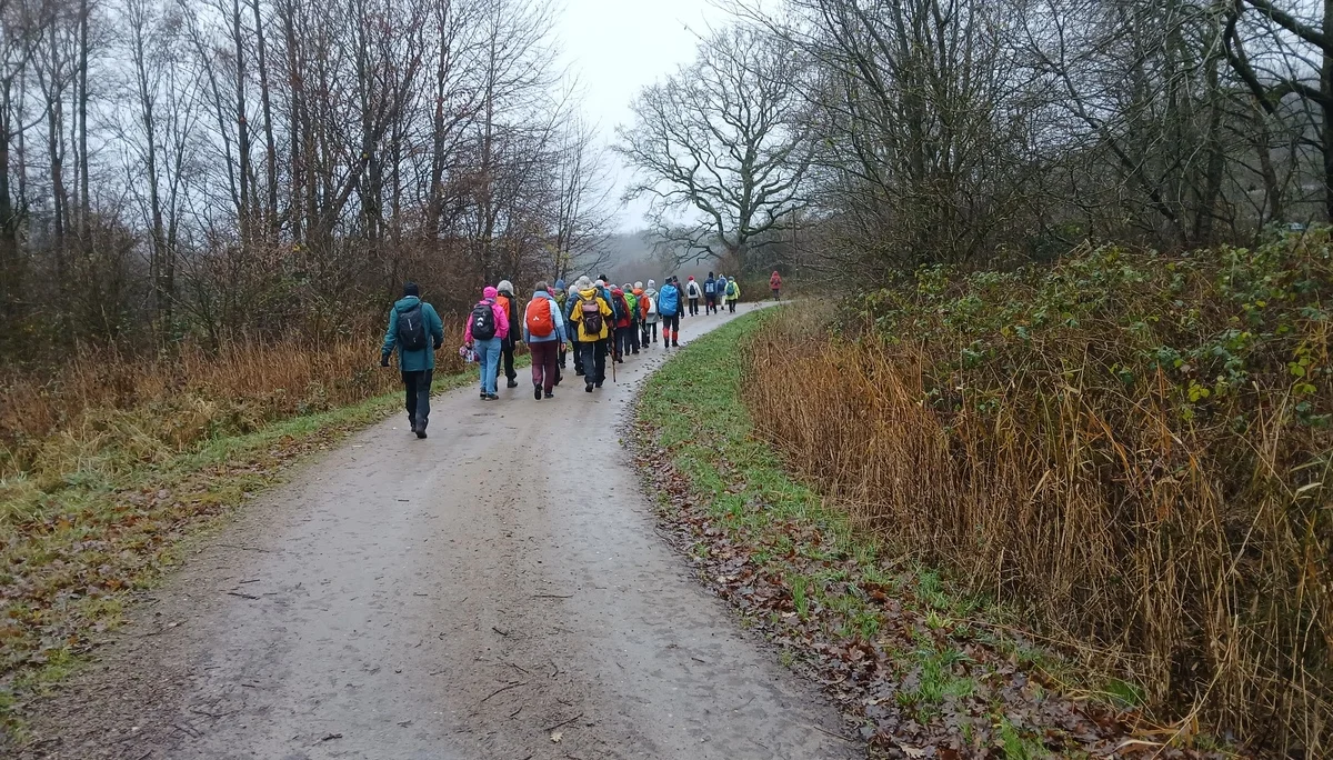 Eine Wandergruppe auf einem Feldweg | © Kai Vermehren