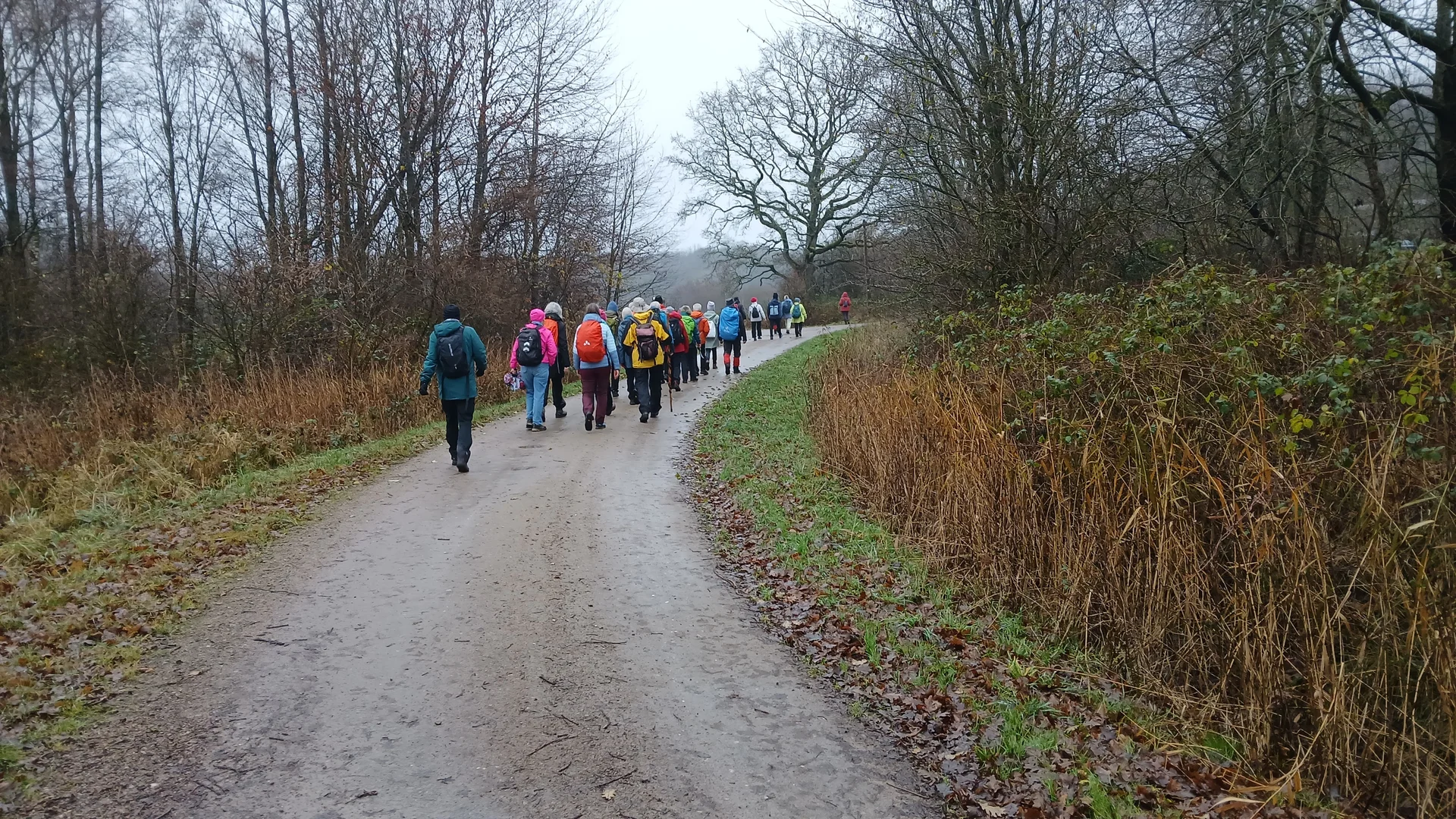 Eine Wandergruppe auf einem Feldweg | © Kai Vermehren