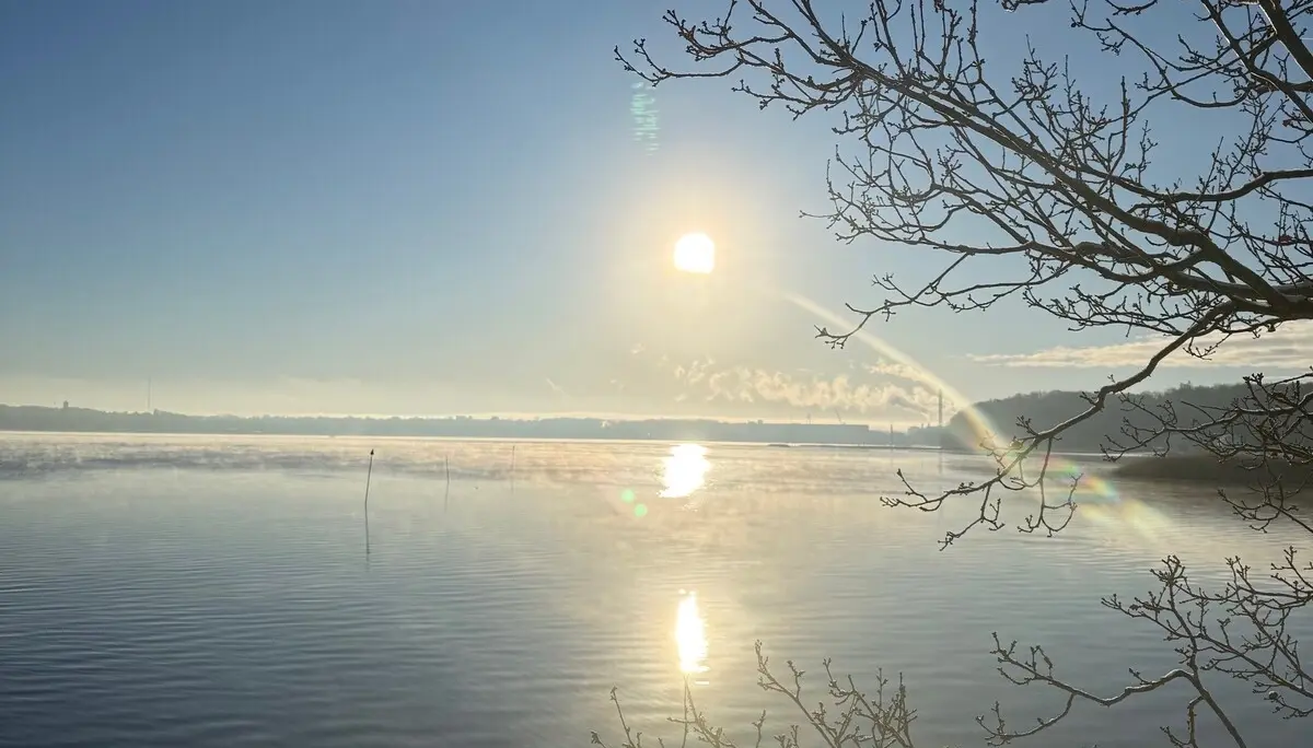 Sonnenaufgang im Winter über der Flensburger Förde. Im Vordergrund ein Baum | © Gerhild Schiller