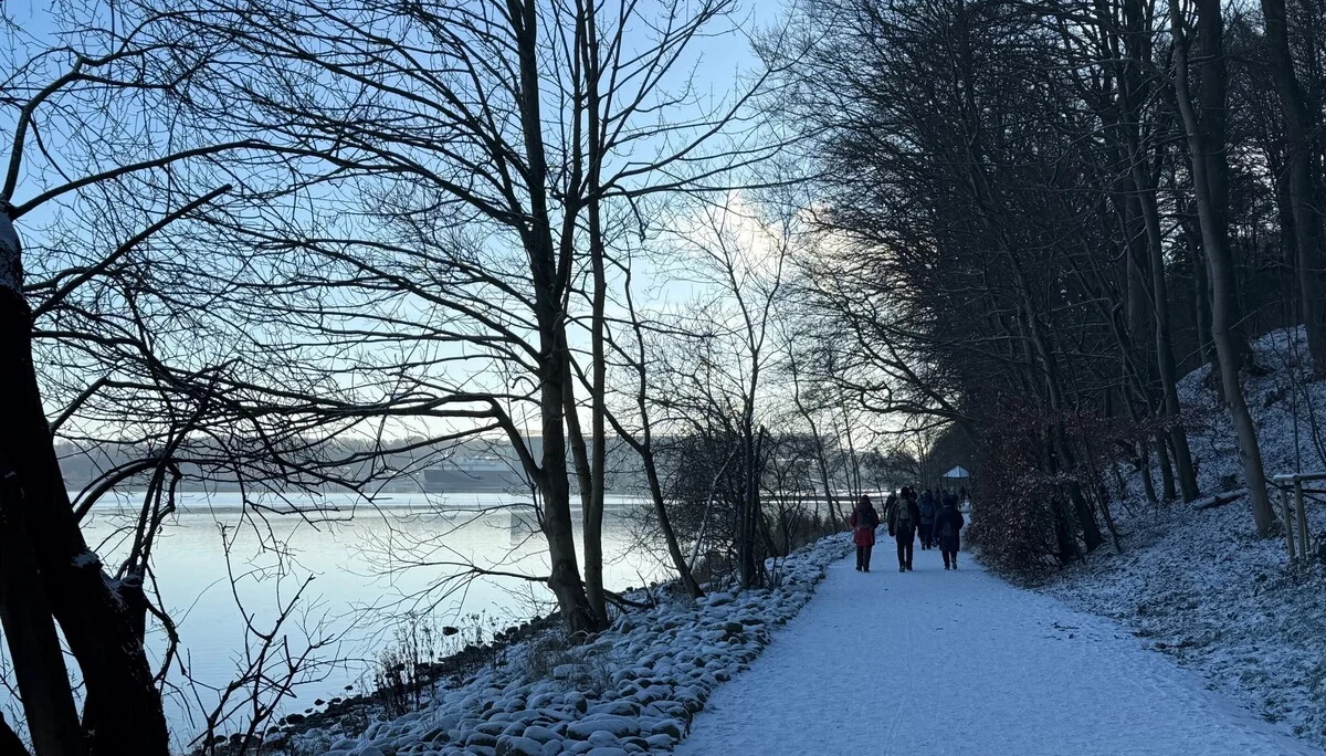 Eine Gruppe Wanderer im schneebedeckten Wald | © Gerhild Schiller