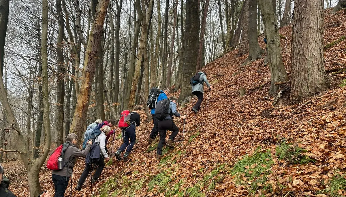 Eine Gruppe Wandernde an einem steilen Hang | © Bettina Jirsak