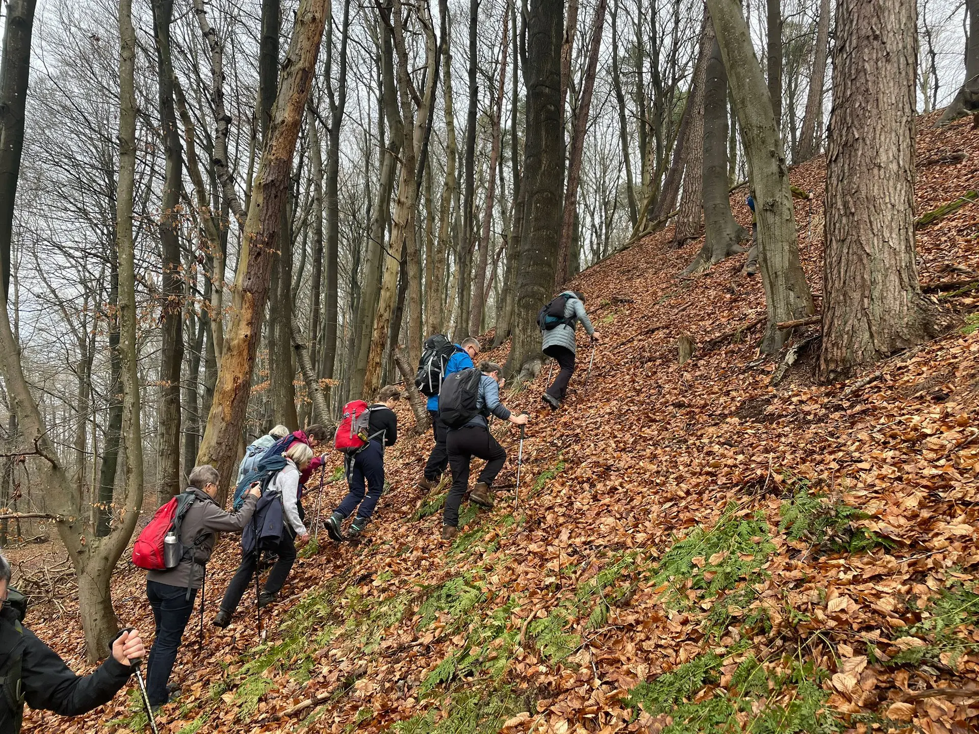Eine Gruppe Wandernde an einem steilen Hang | © Bettina Jirsak