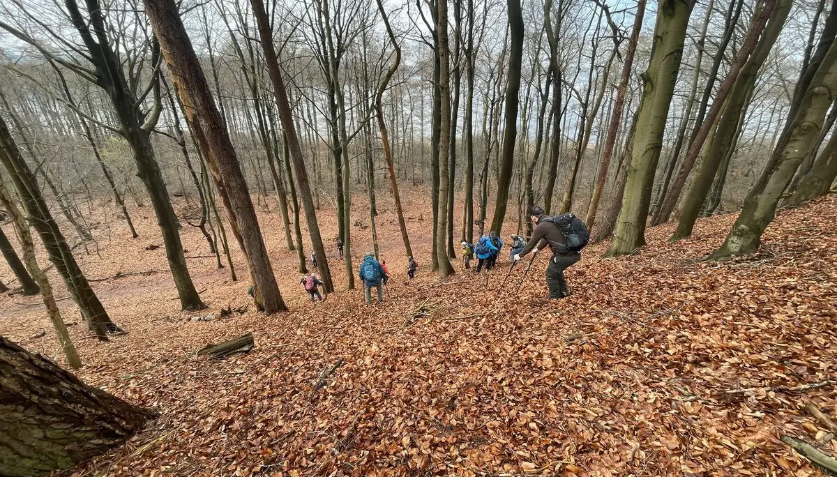 Eine Gruppe Wandernde an einem steilen Hang | © Bettina Jirsak