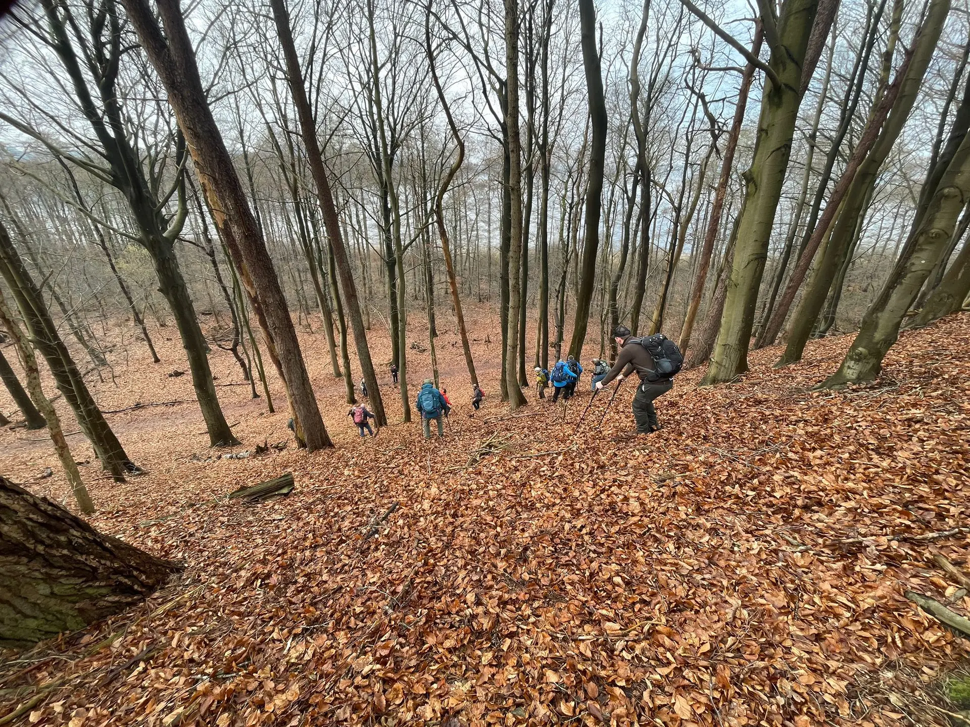 Eine Gruppe Wandernde an einem steilen Hang | © Bettina Jirsak