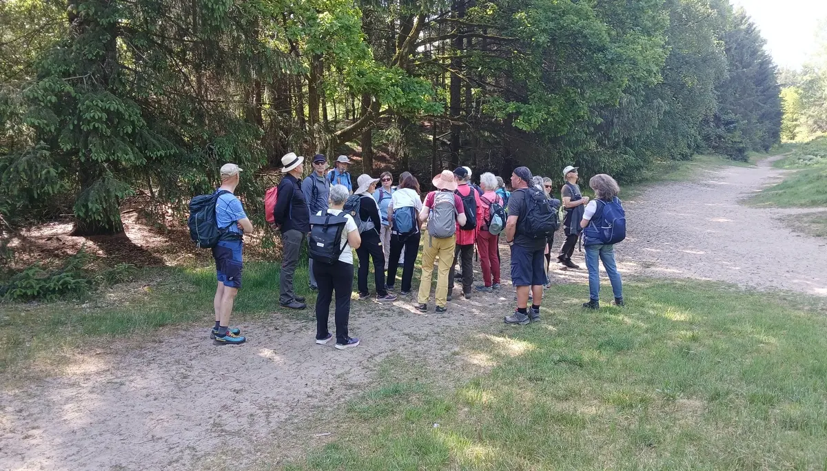 Eine Gruppe Wandernde im Wald von Leck | © Kai Vermehren