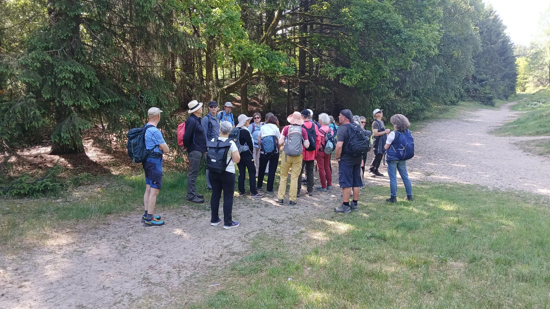 Eine Gruppe Wandernde im Wald von Leck | © Kai Vermehren