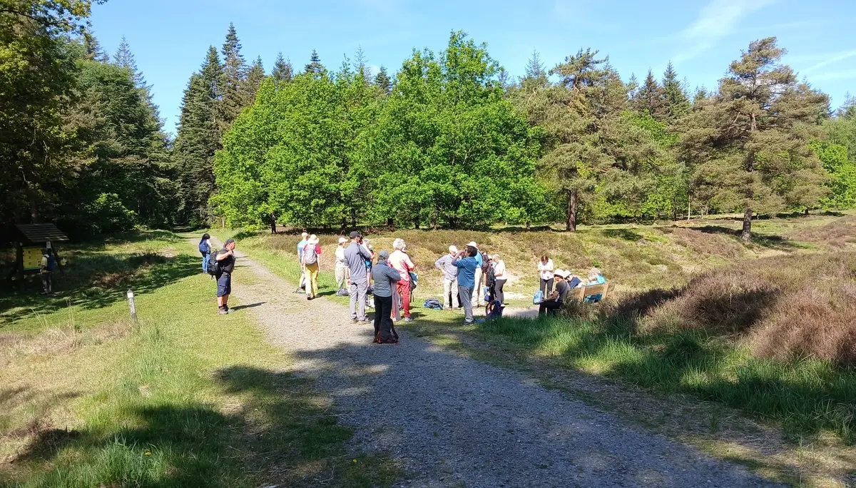 Eine Gruppe Wandernde im Wald von Leck | © Kai Vermehren