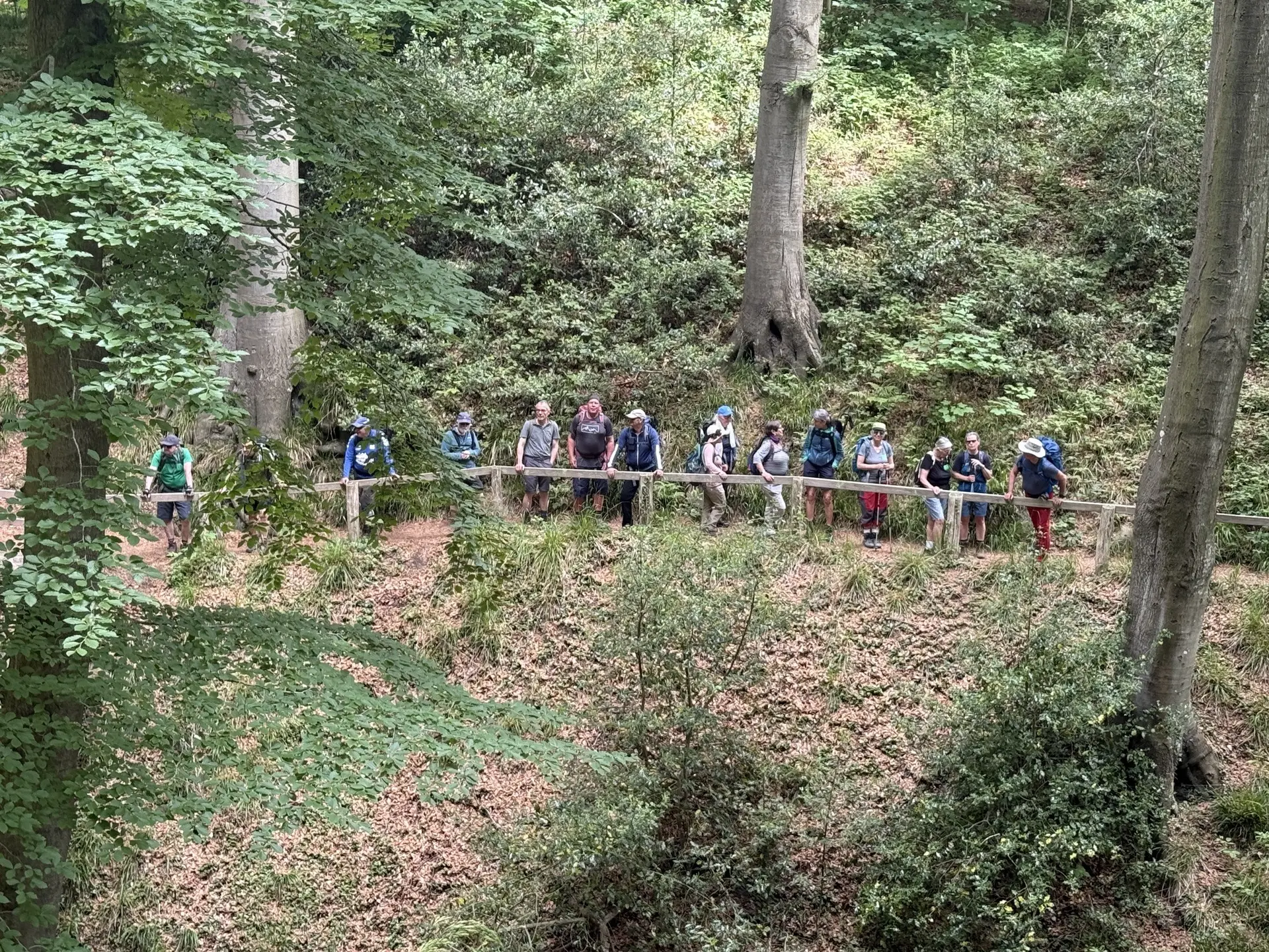 Wandernde im Wald hinter einem Geländer | © Gerhild Schiller