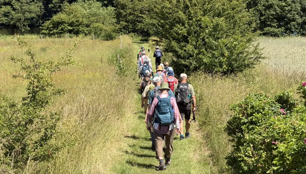 Wandergruppe auf einem Wiesenweg | © Kai Vermehren