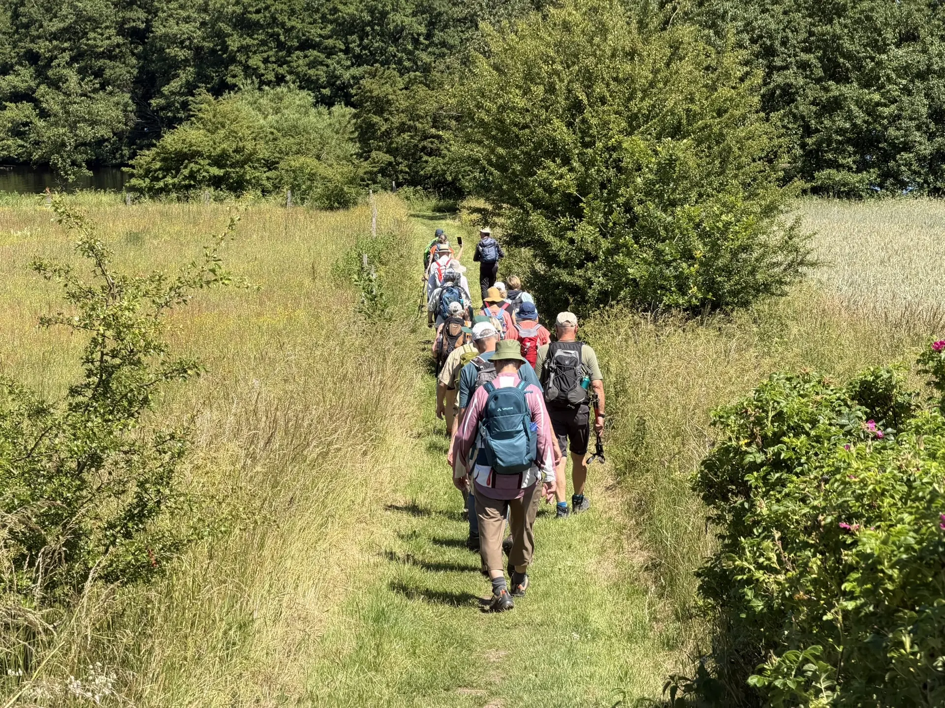 Wandergruppe auf einem Wiesenweg | © Kai Vermehren