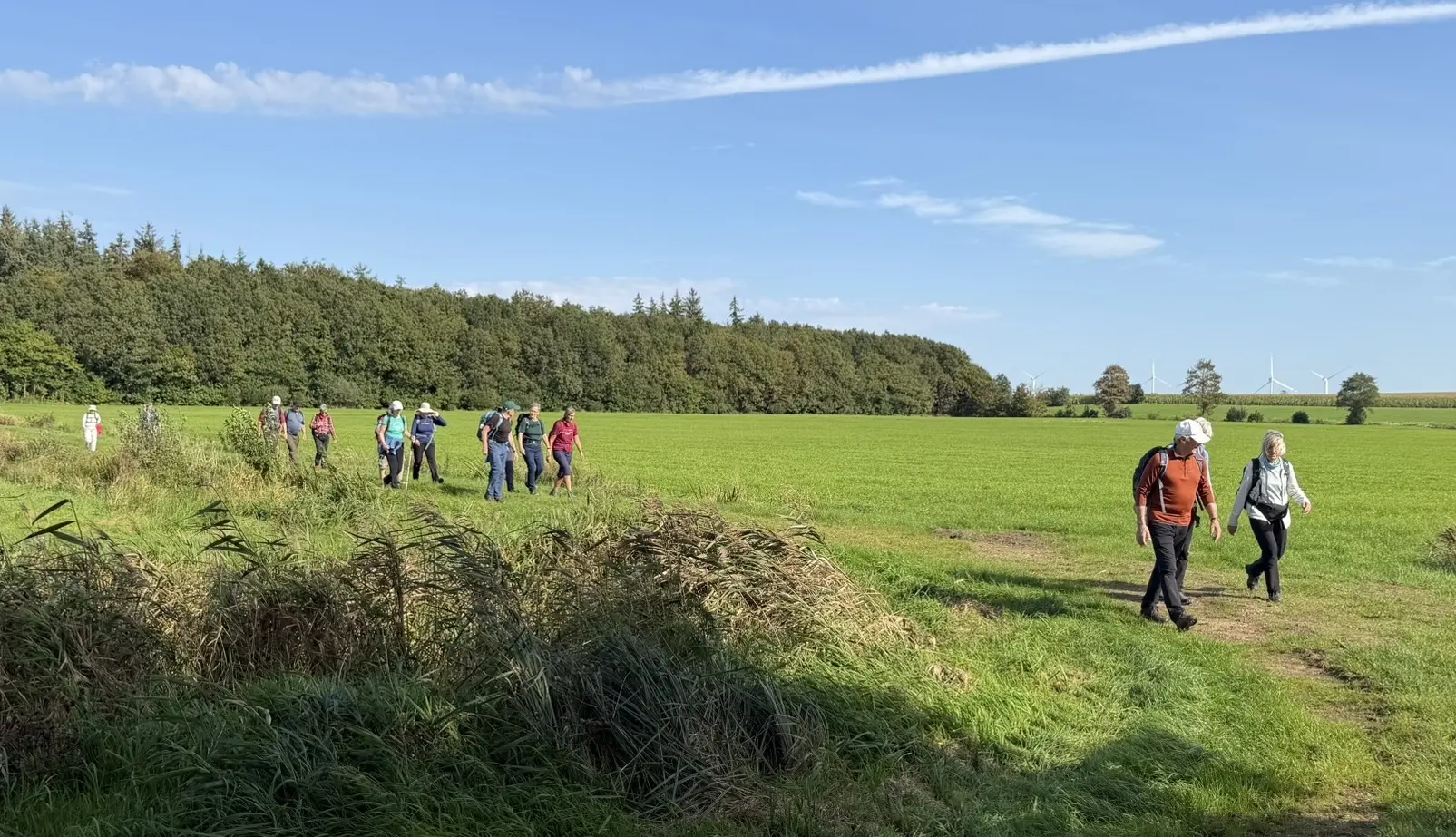 Eine Gruppe Wanderer auf einer Wiese vor einem Wald | © Kai Vermehren