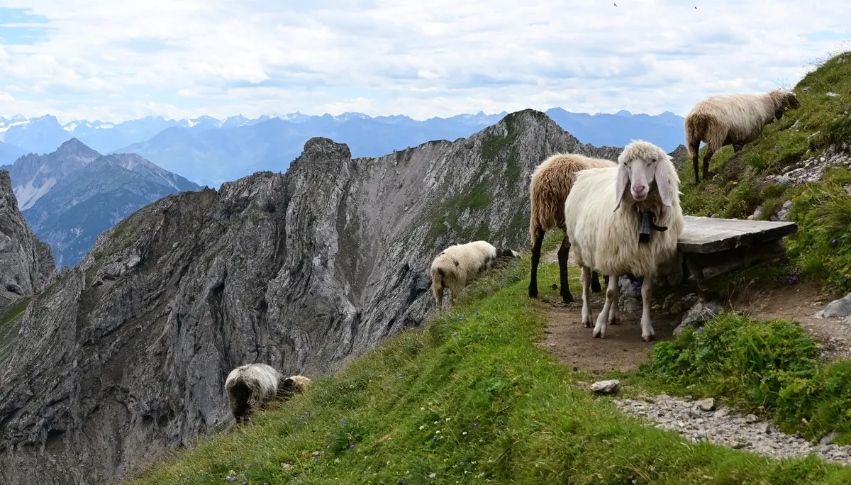 © Ingeborg Redlefsen