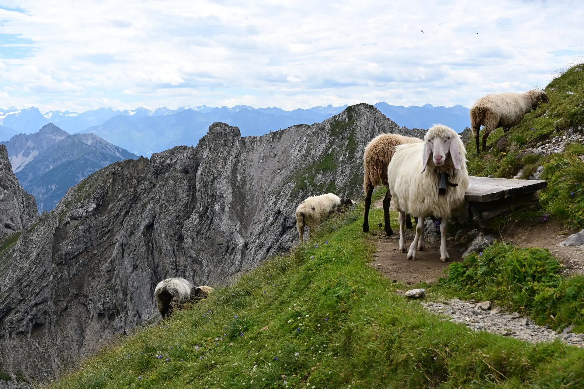 © Ingeborg Redlefsen