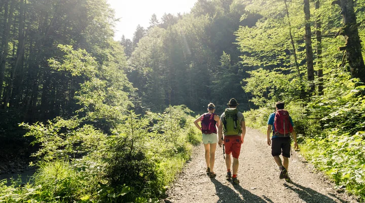 Wandern in den Chiemgauer Bergen | © DAV/Hans Herbig Drei Wanderer auf einem Bergpfad in den Chiemgauer Alpen | © DAV/Hans Herbig